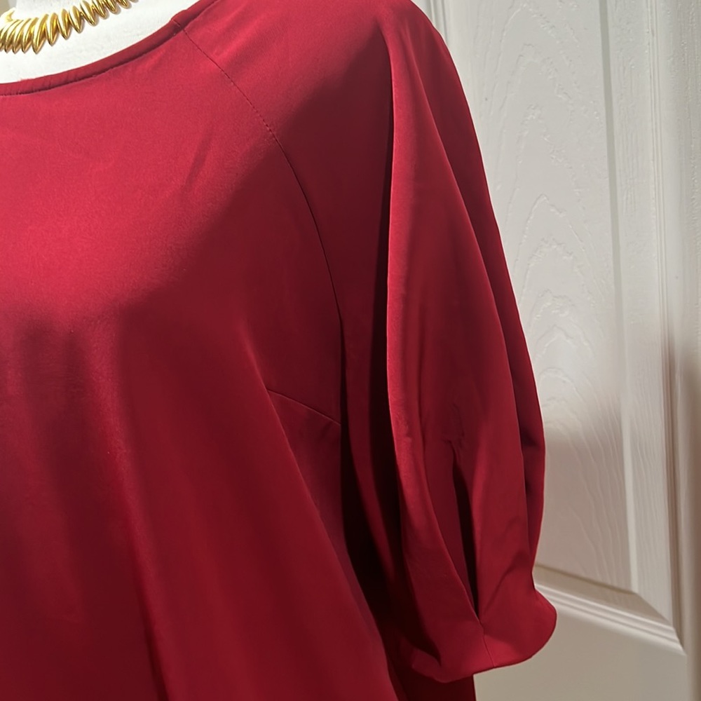 Express Red Top - Picture 2 of 5